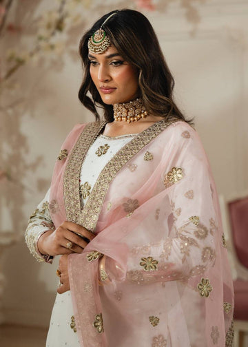 Faux Georgette Sharara Set with Full Embroidery